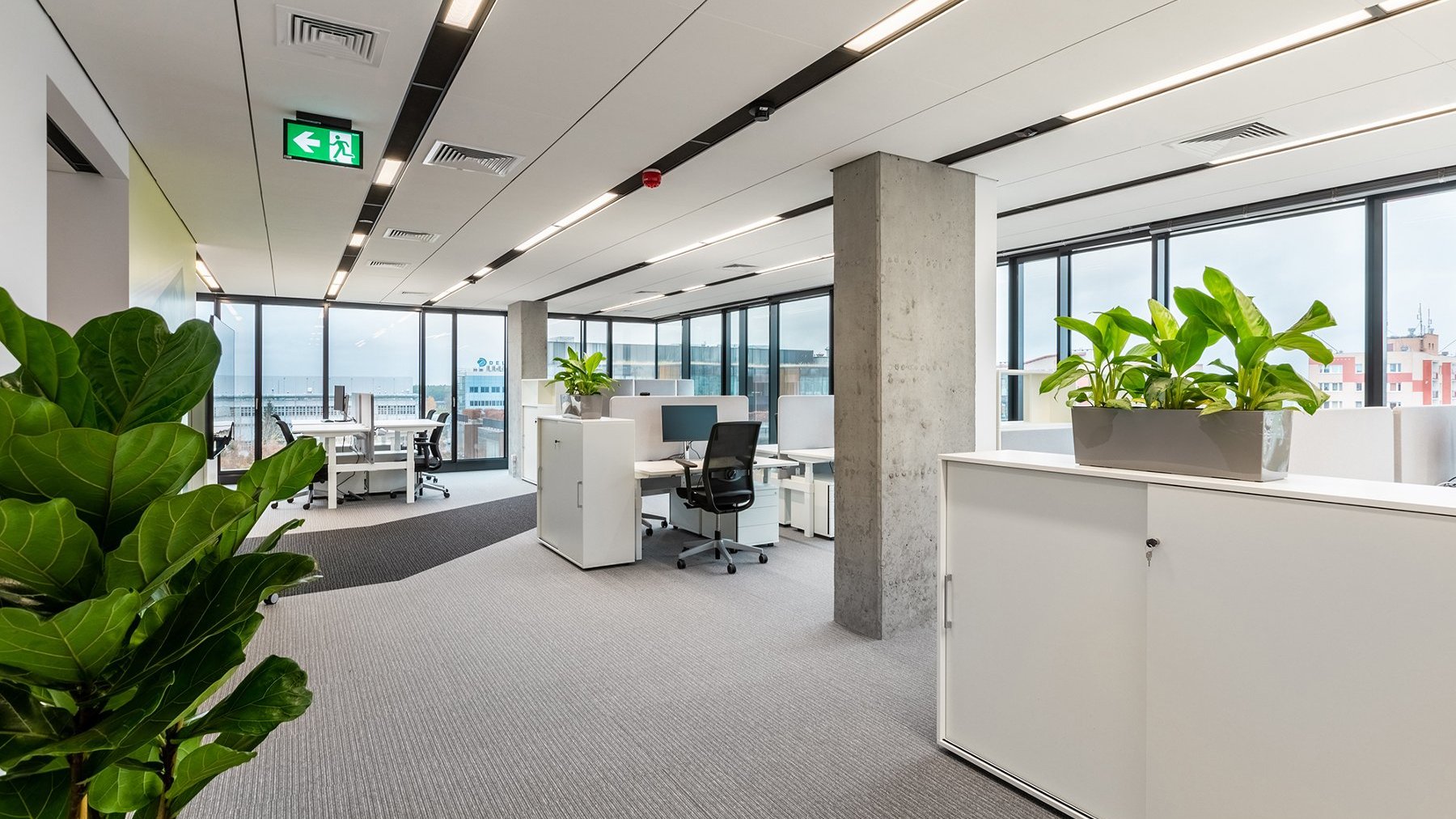 Zdjęcie przedstawia nowoczesną przestrzeń biurową. Przy biurkach z komputerami znajdują się zielone rośliny w szarych osłonkach. W tle widać rozpościerające się miasto.