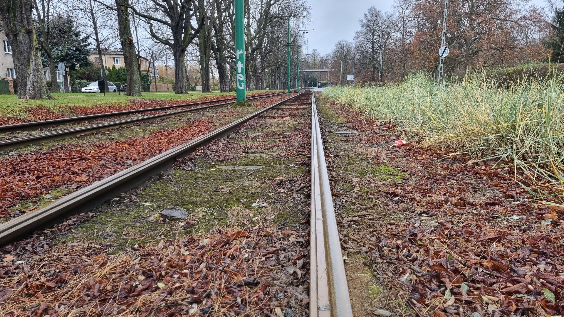 Widok z bliska wzdłuż torowiska przy Alei Wielkopolskiej, obok drzewa i roslinność przyuliczna.