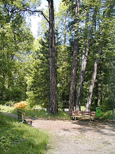 Dendrologischer Garten