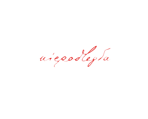 logo projektu - napis Niepodległe