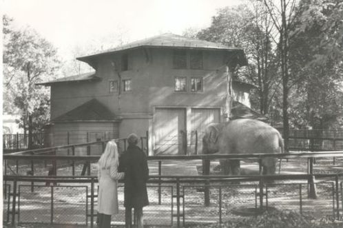 Ogród Zoologiczny (1971) F. Maćkowiak