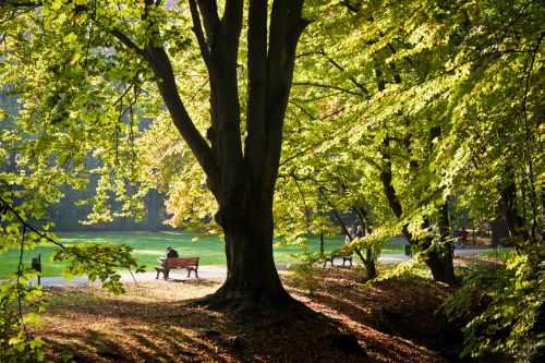 Parque Sołacki