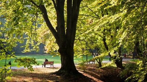 Parque Sołacki