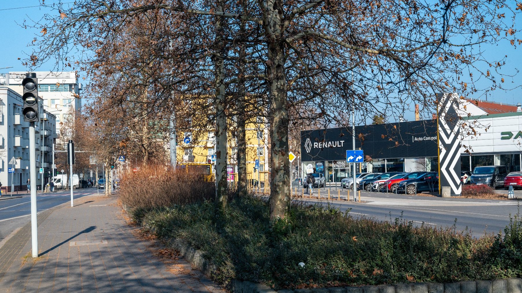 Zdjęcie przedstawia ulicę, sygnalizację świetlną, zaparkowane przy jezdni samochody oraz szpaler drzew i budynki.