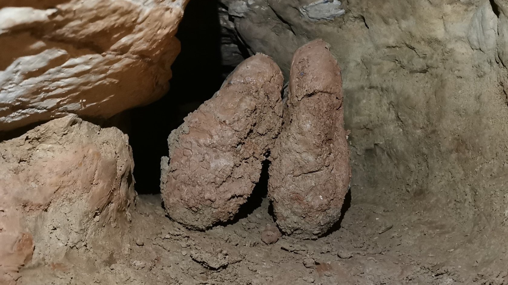 Na zdjęciu jest jaskinia lub podziemne środowisko, w którym znajdują się dwie wyraźne stalagmity pośrodku. Stalagmity są szorstkie i nieregularne w kształcie, z czerwonobrązową barwą. Ściany i podłoga jaskini są wykonane z podobnych materiałów glebowych, z niektórymi obszarami wyglądającymi bardziej ugniatymi, a innymi bardziej kruchymi.