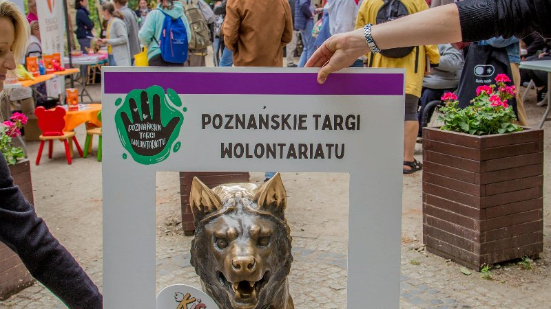 Grafika przedstawiająca ramkę z napisem wydarzenia: Poznańskie Targi Wolontariatu na tle krajobrazu Poznańskiego Starego ZOO w Poznaniu