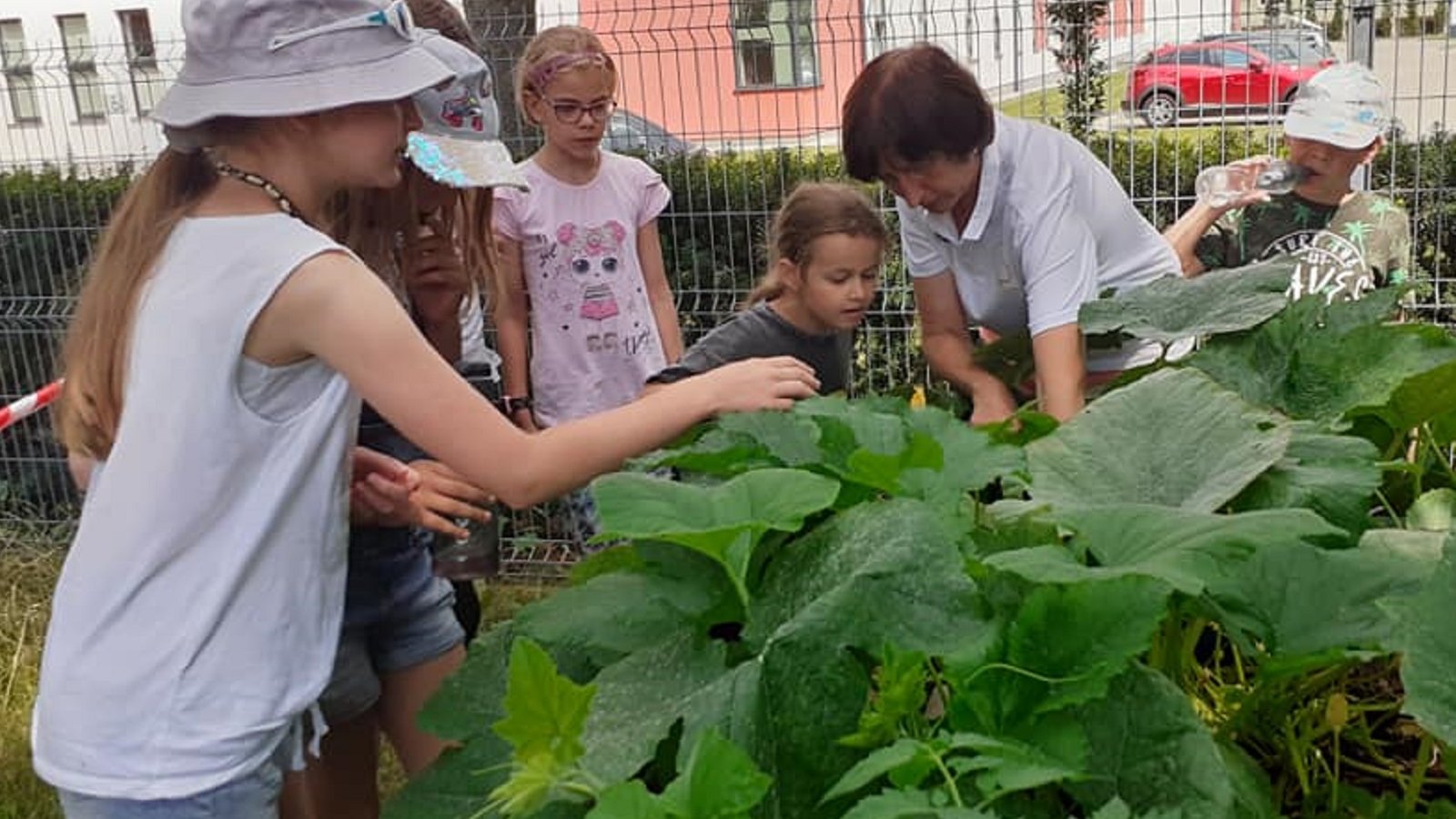 zdjęcie przedstawia dzieci z opiekunkami pracujące w ogrodzie