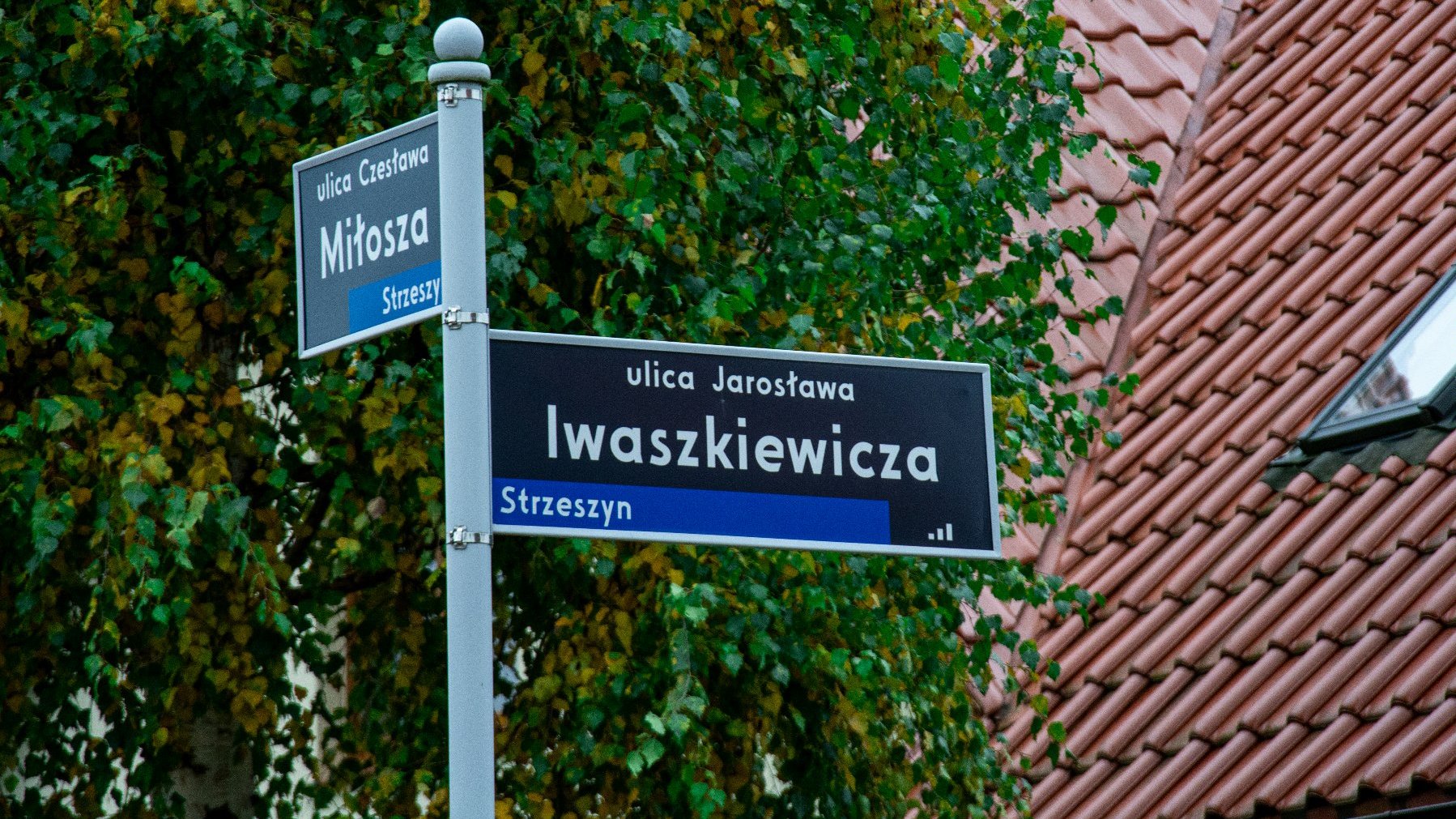 Tablice z nazwami ulic - Iwaszkiewicza i Miłosza.