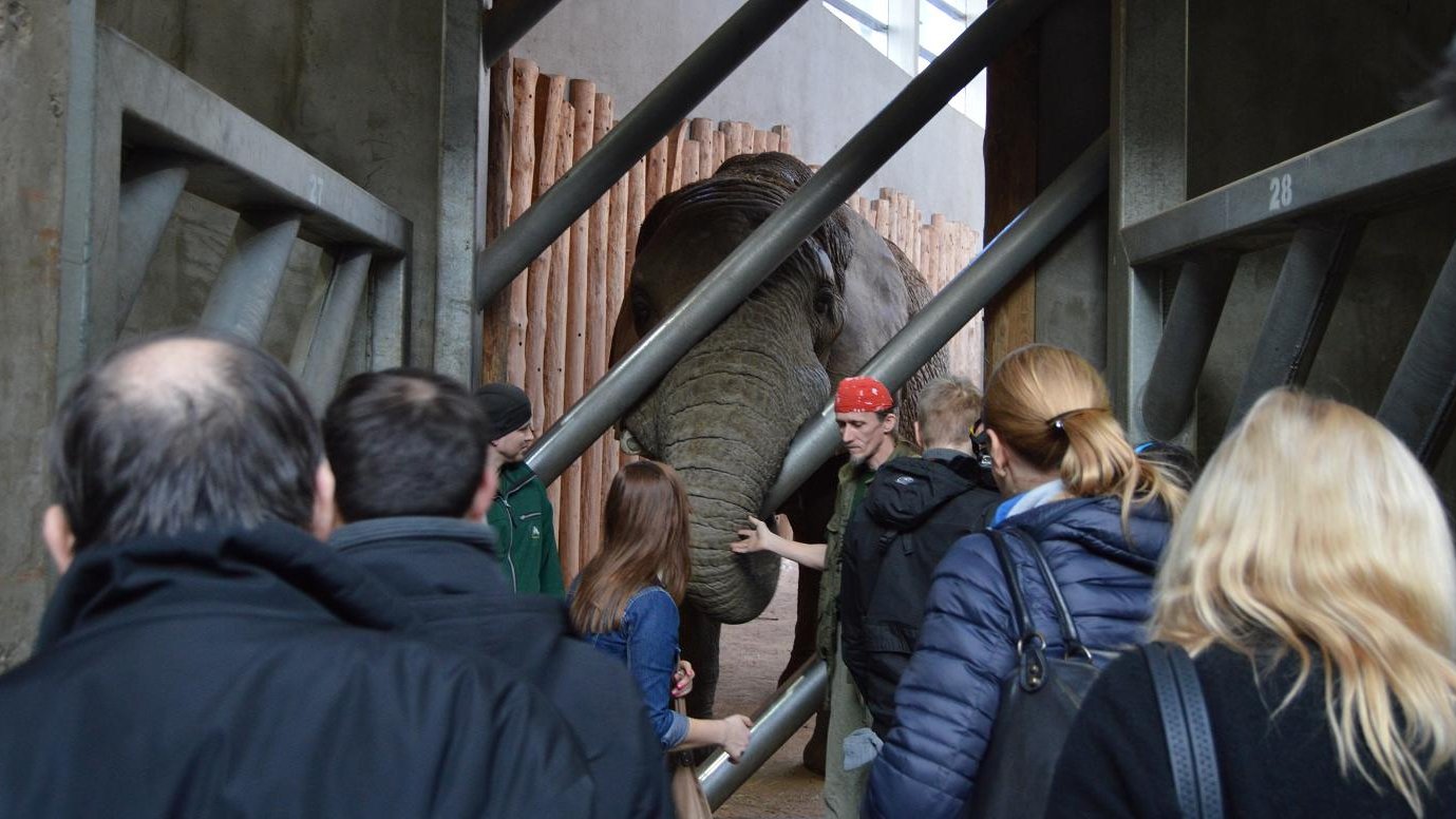 Wizyta radnych w zoo