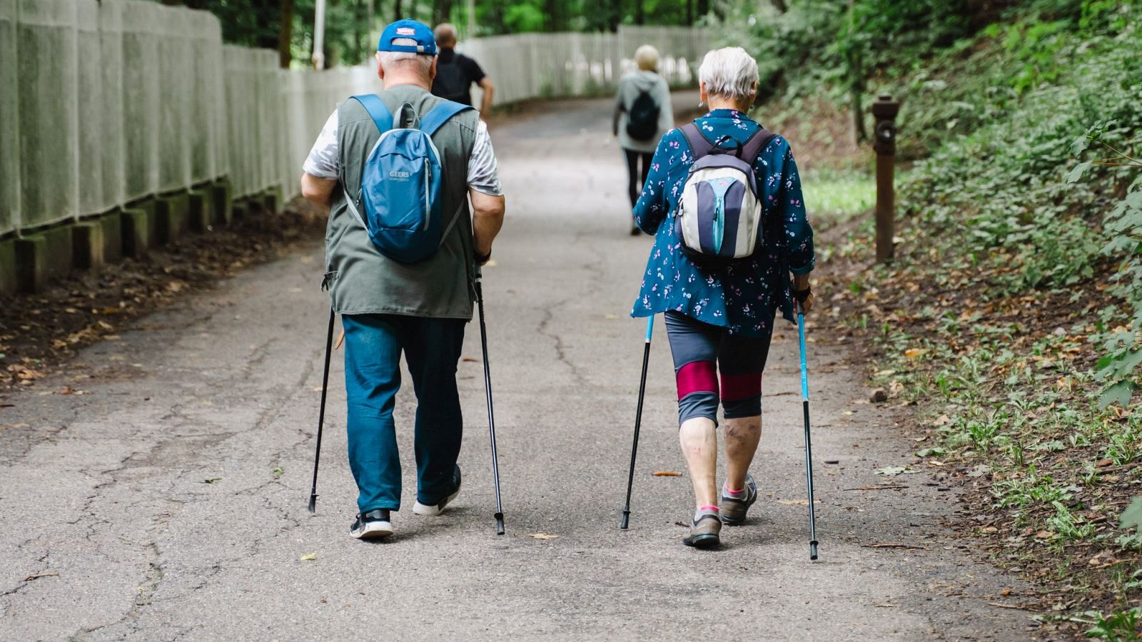 Seniorzy z kijkami nordic walking