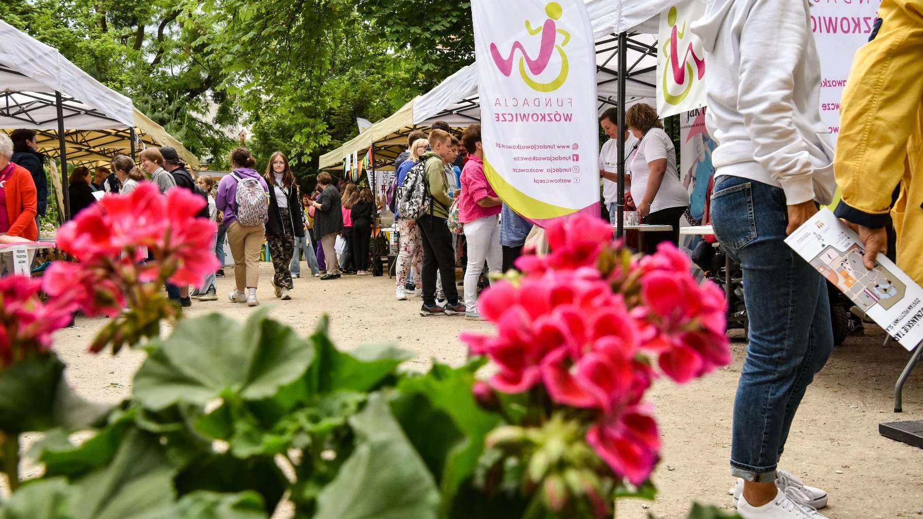 Na zdjęciu stoiska organizacji pozarządowych, na pierwszym planie czerwone kwiaty