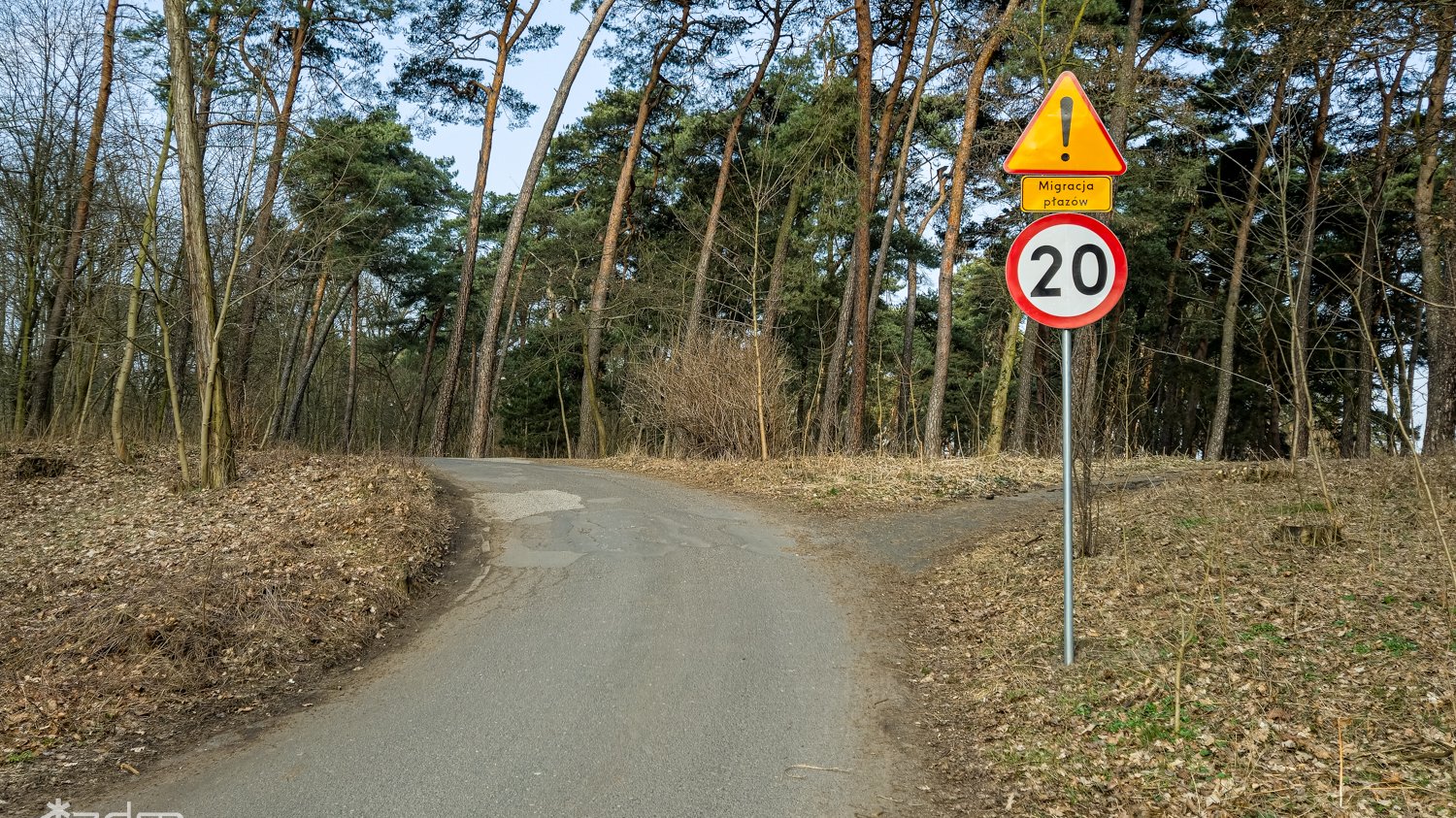 Zdjęcie przedstawia znak drogowy informujący o ograniczeniach w związku z migracją płazów, znajdujący się przy polnej drodze.