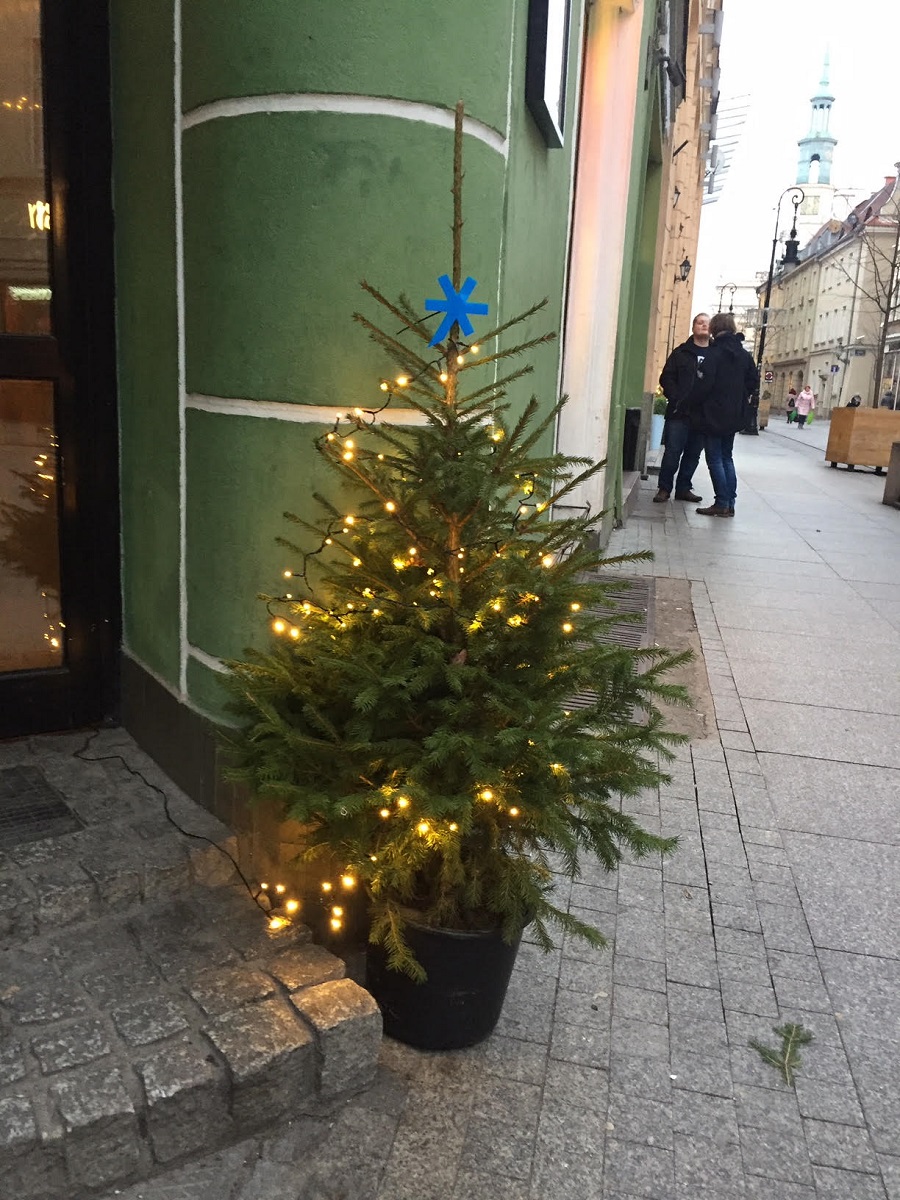 Poznań rozbłysnął ponad 260 choinkami świątecznymi - grafika artykułu