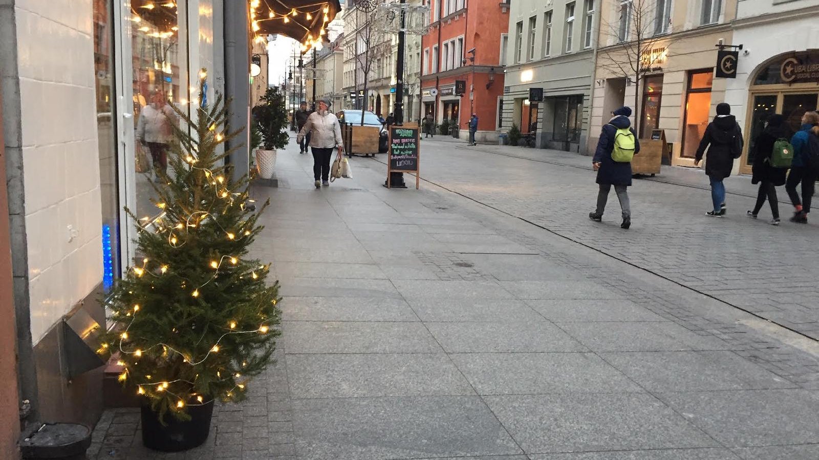 Poznań rozbłysnął ponad 260 choinkami świątecznymi