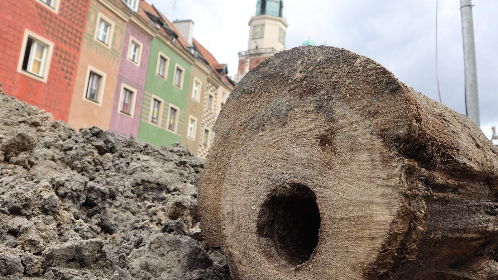 Na placu budowy, pod płytą Starego Rynku, znaleziono drewniane rury wodociągowe sprzed ok. 400 lat fot. PIM - grafika artykułu