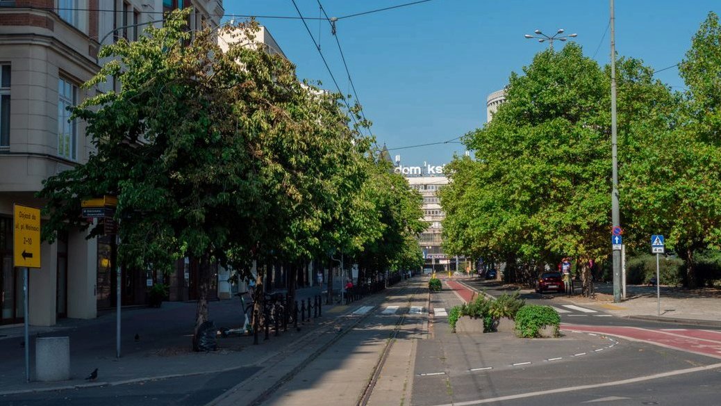 Wszelkie decyzje dotyczące drzew będą podejmowane na podstawie opinii niezależnych ekspertów