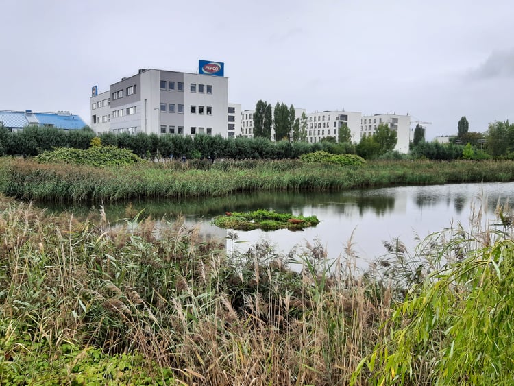 Ogrody Pływające w parku Karola Marcinkowskiego oraz Parku Podolany im. prof. Leszka Bergera (foto: OnWater.pl)