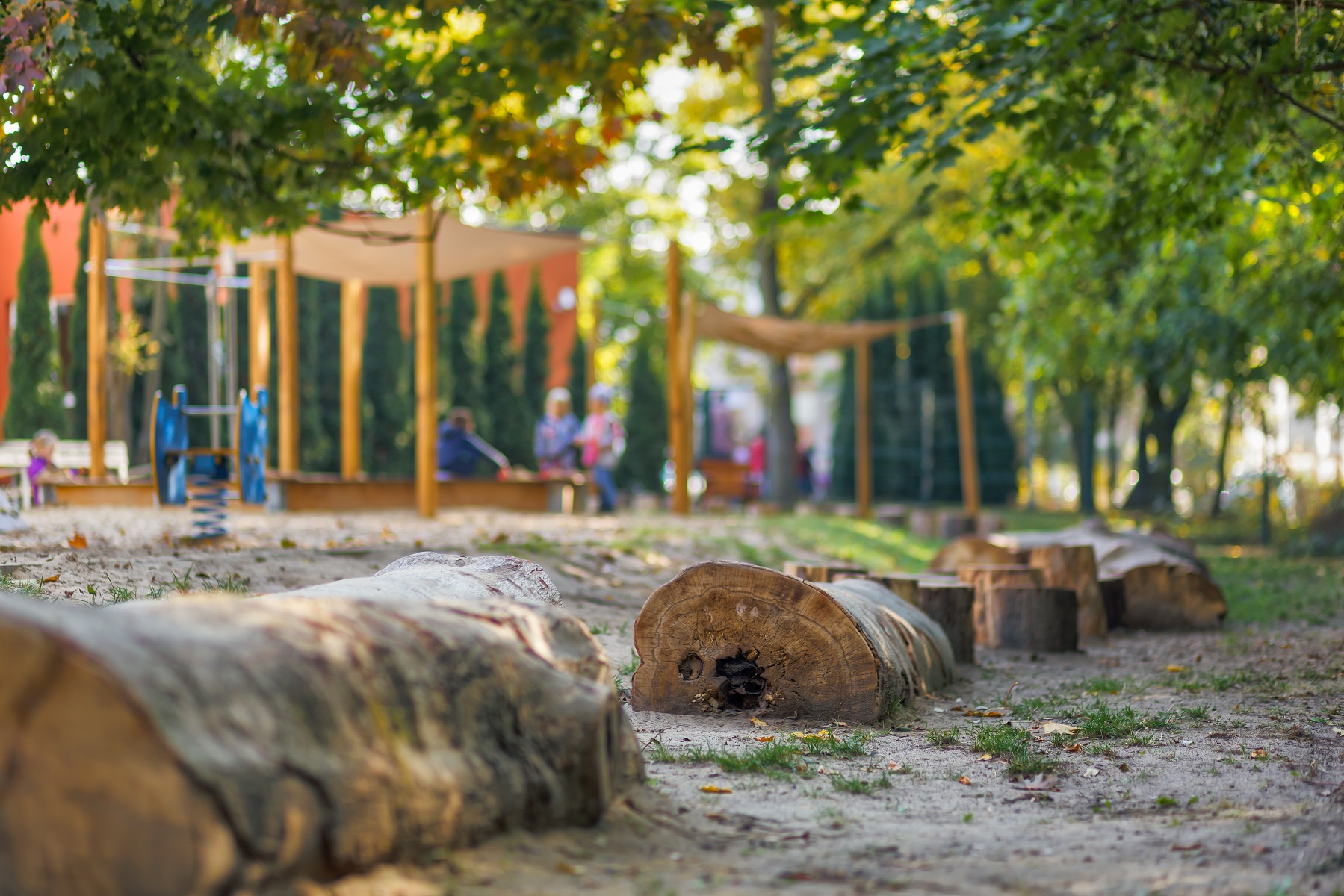 Ścieżka z kłód i pieńków w Przedszkolu nr 46, Źródło: Miasto Poznań, Piotr Bedliński