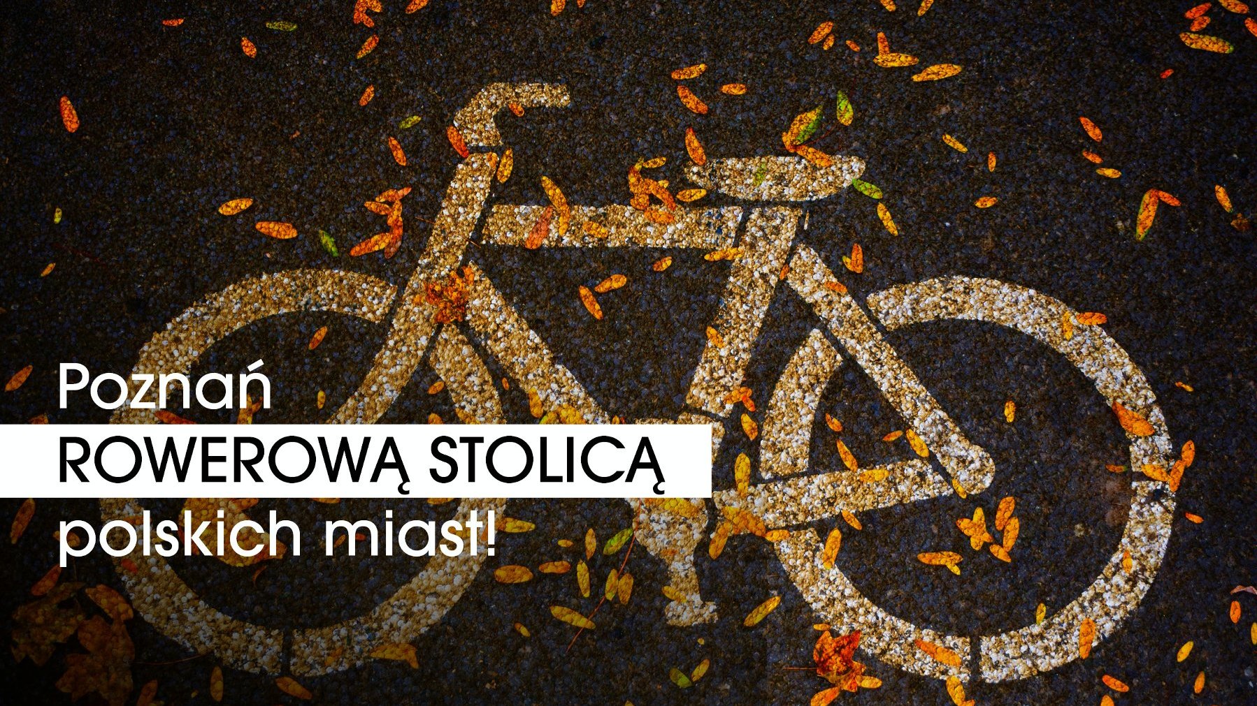 Grafika z narysowanym piktogramem roweru na ulicy, na którym leżą jesienne liści i napis "Poznań rowerową stolicą polskich miast!"