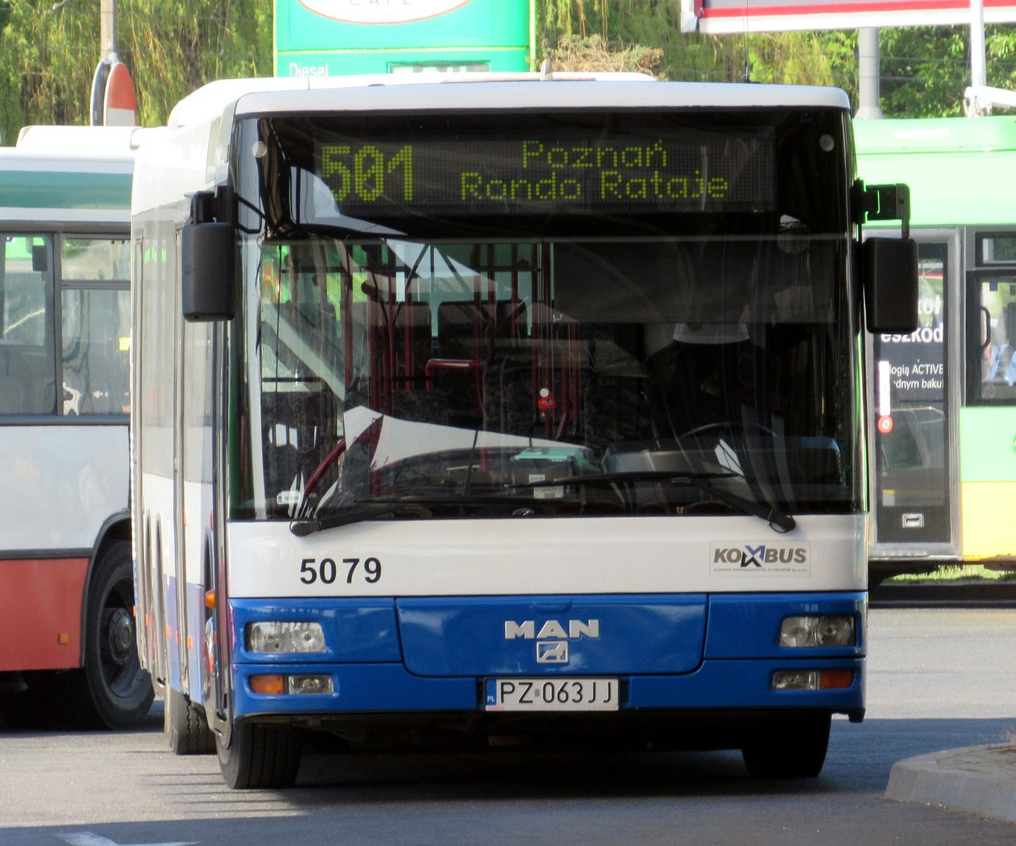 Autobus linii nr 501 - grafika artykułu