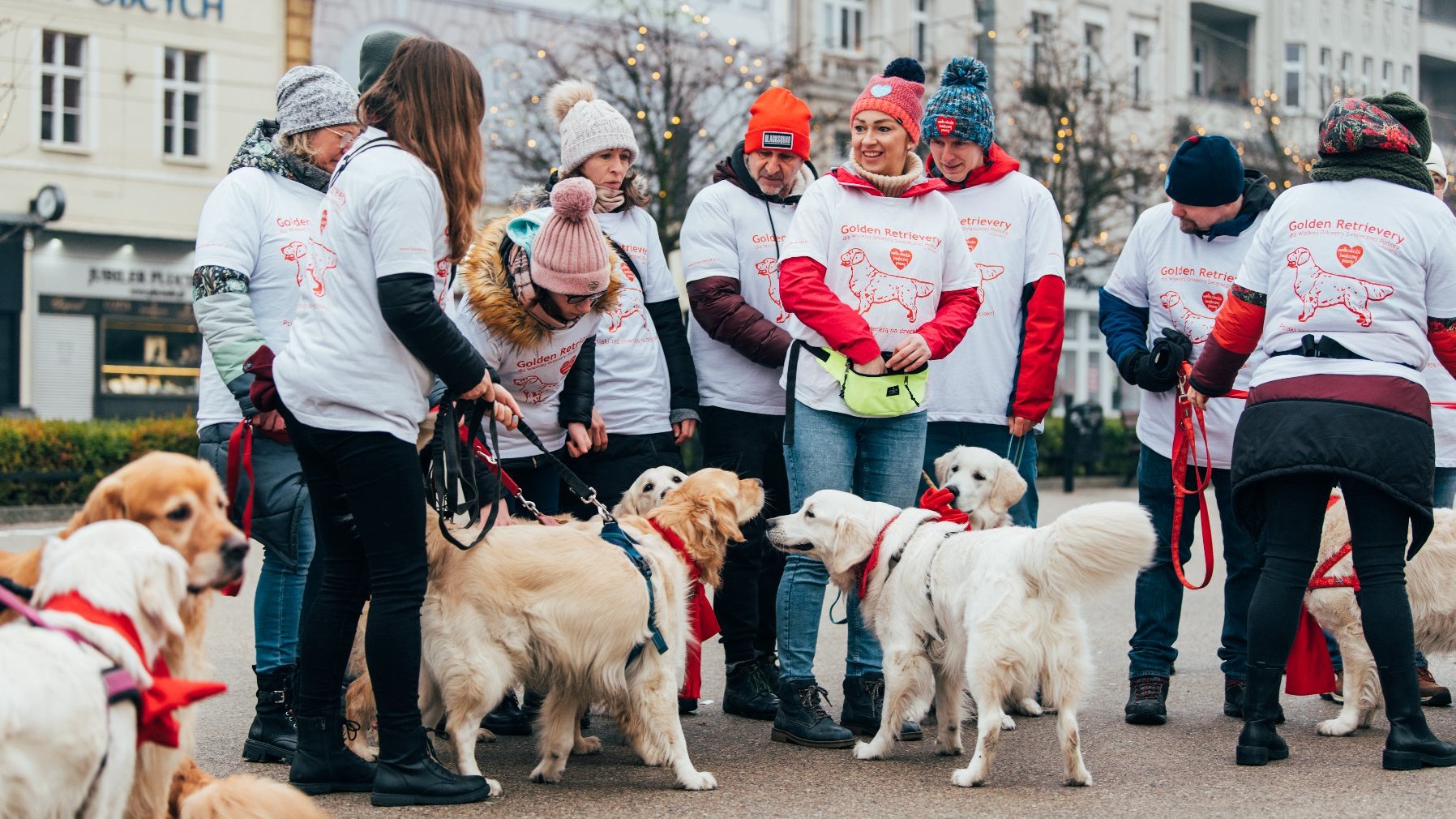 Galeria zdjęć przedstawia golden retrievery z właścicielami na pl. Wolności.