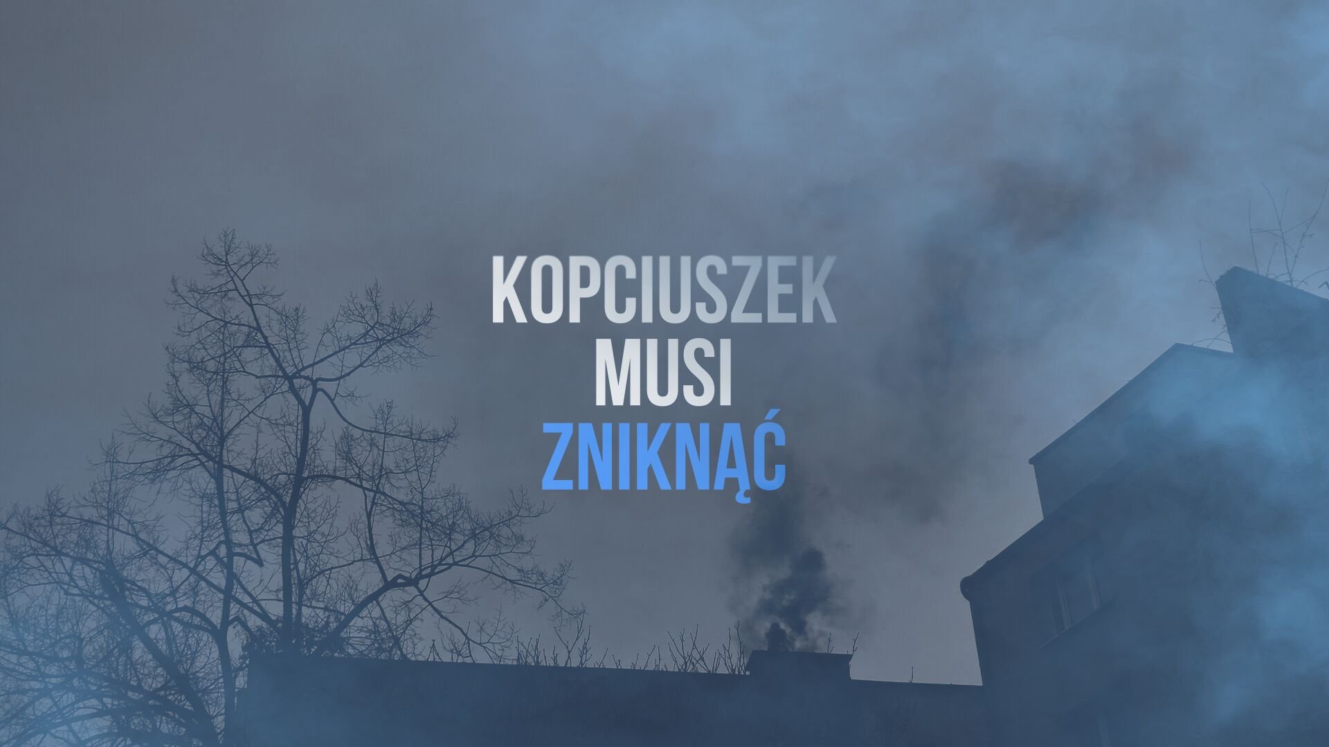 Grafika przedstawia budynki, które ledwo widać ze względu na dym i smog. Pośrodku znajduje się napis "Kopciuszek musi zniknąć".