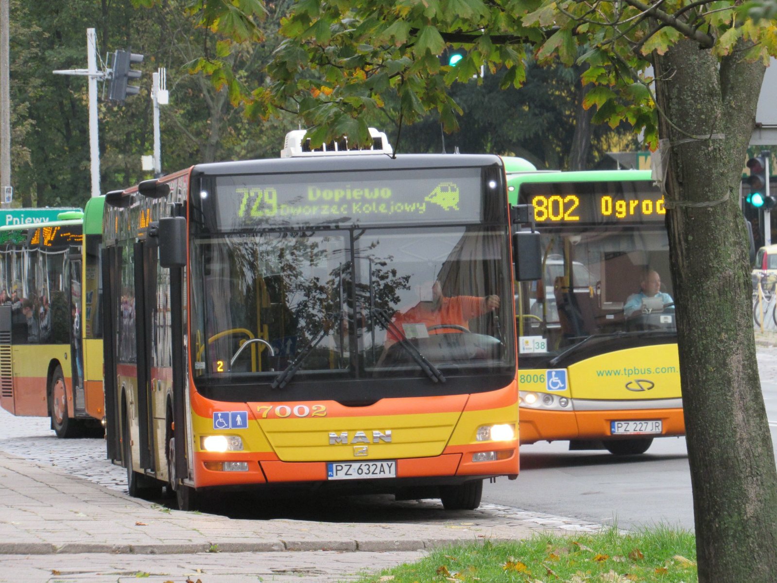 Autobus linii 729 - grafika artykułu