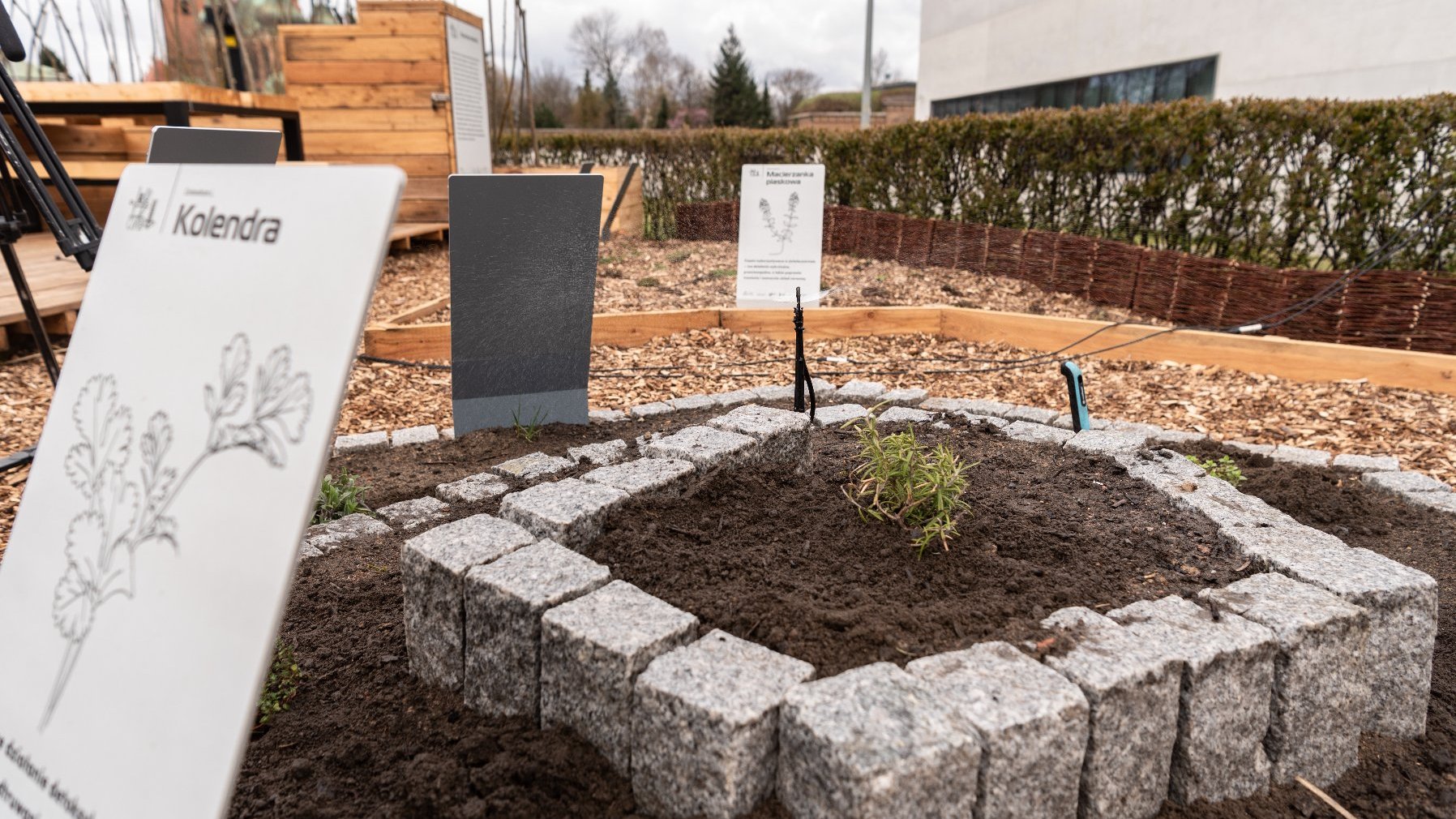 Galeria zdjęć przedstawia ogród eksperymentalny. Widać na nim wydzielone miejsce na rośliny oraz prelegentów konferencji.