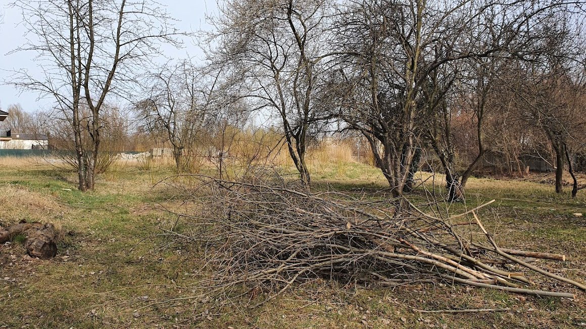 Galeria zdjęć przedstawia leżące na ziemi gałęzie i pnie drzew.