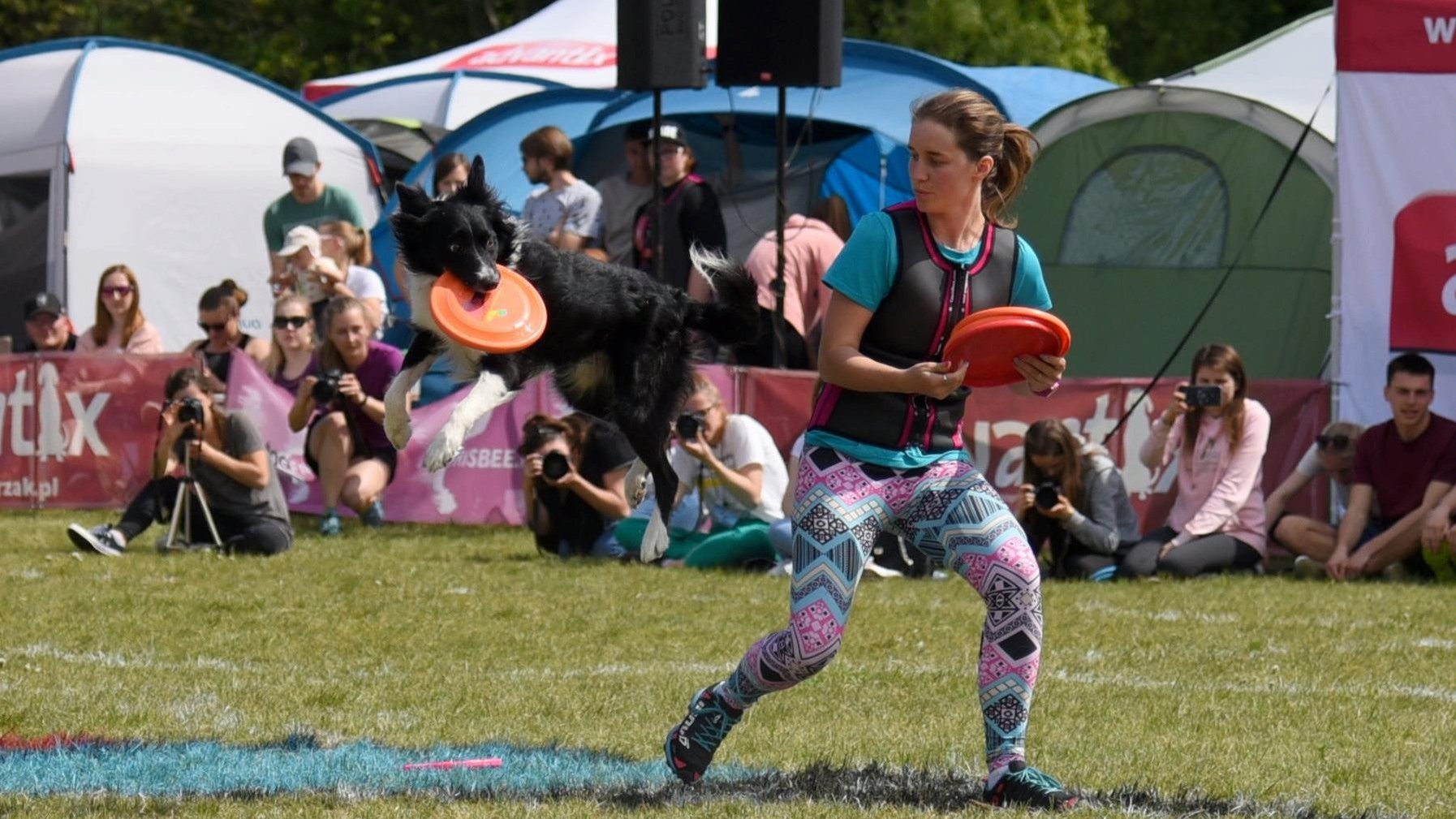 Zdjęcie przedstawia dziewczynę rzucającą frisbee oraz psa, który łapie frisbee w locie. W tle widać obserwujących pokaz ludzi.