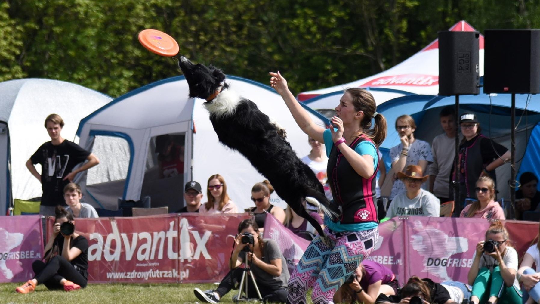 Zdjęcie przedstawia dziewczynę rzucającą frisbee oraz psa łapiącego je w locie.