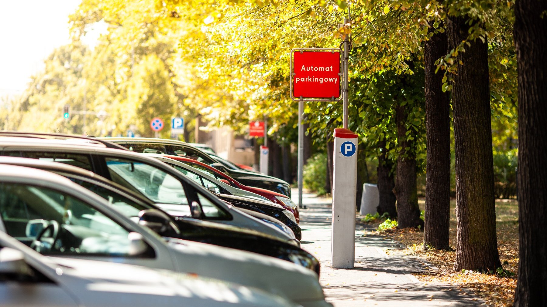 Na zdjęciu samochody w szeregu, obok nich parkomat, w tle zielone drzewa