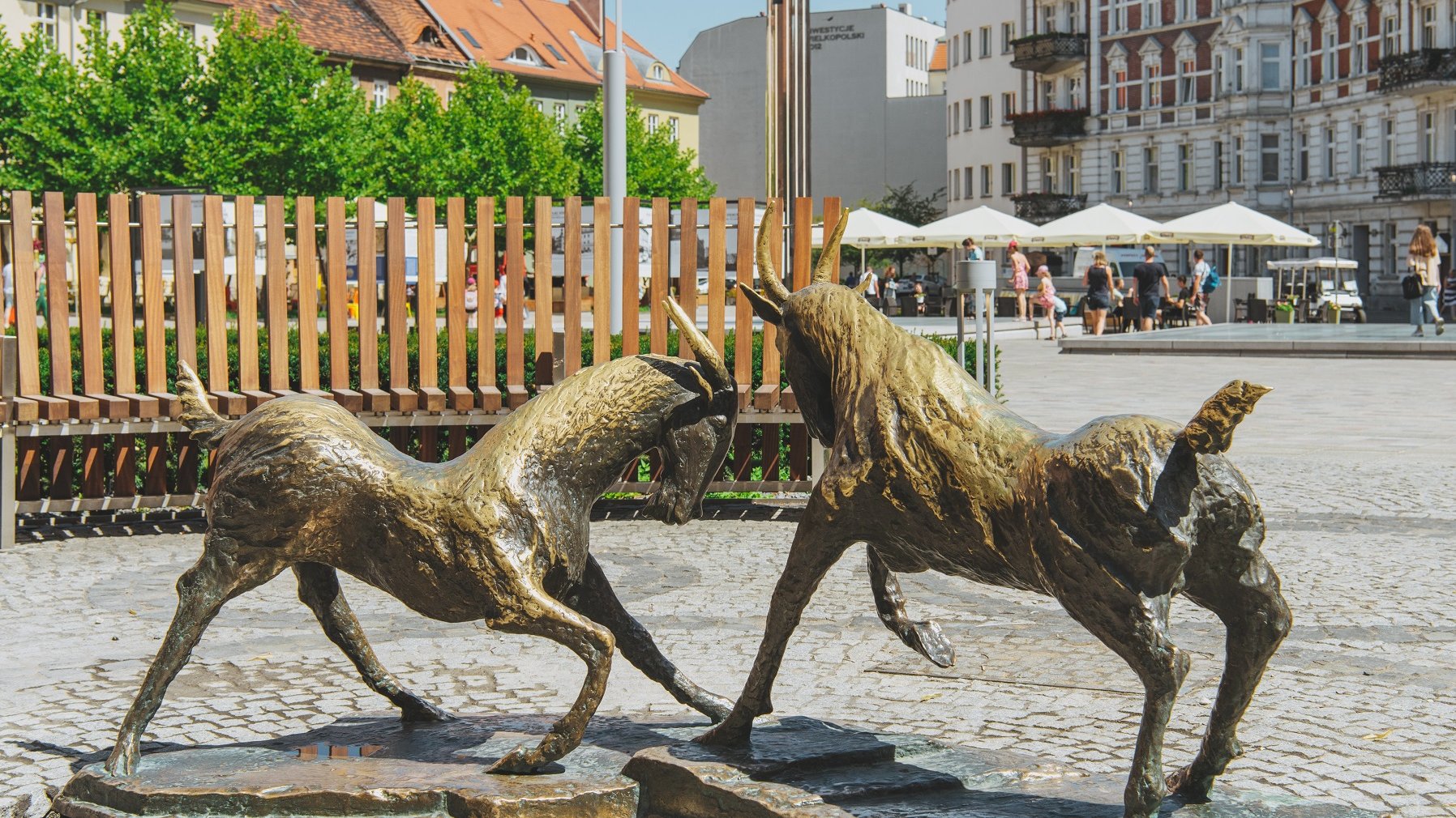 Na zdjęciu rzeźba dwóch trykających się koziołków ustawiona na placu Kolegiackim - grafika artykułu