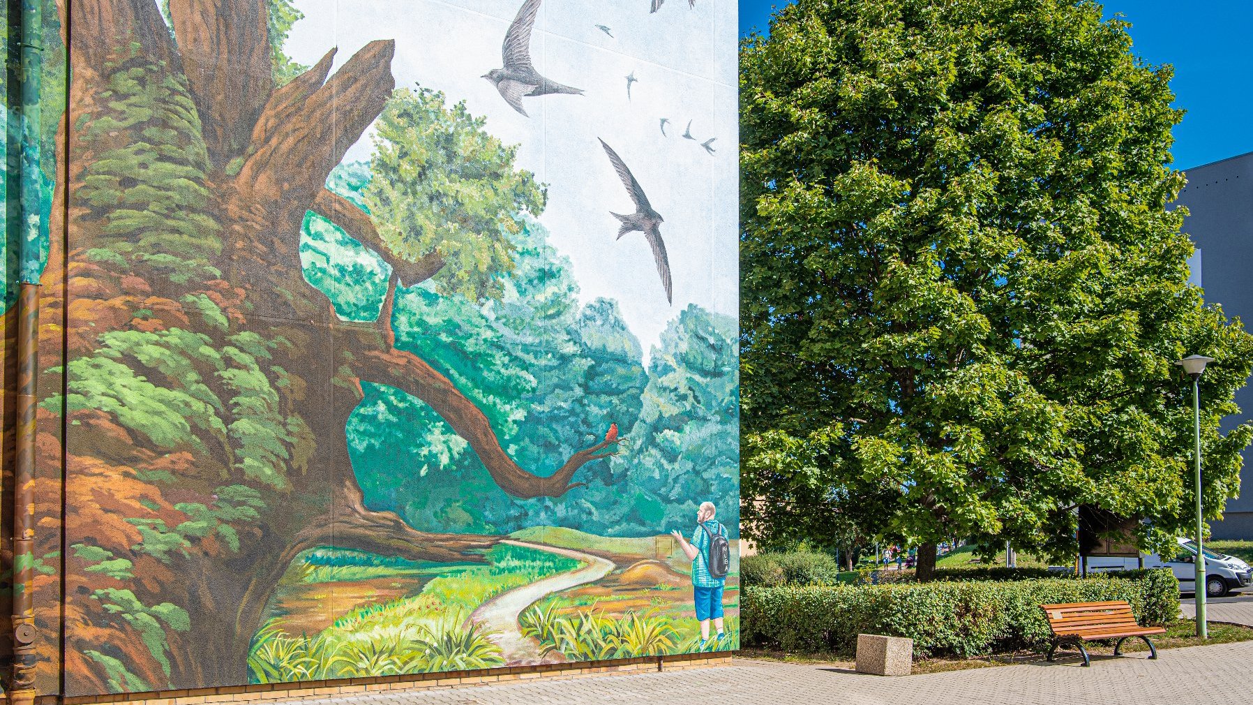 Galeria zdjęć przedstawiająca mural na szkole z różnej odległości oraz perspektywy