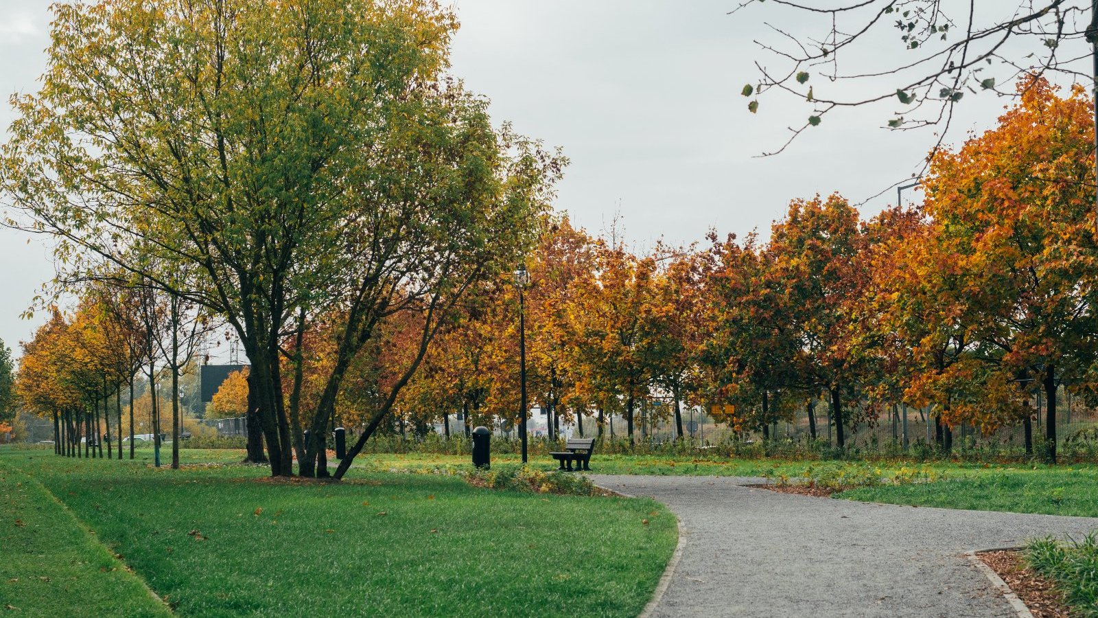 Na zdjęciu znajdują się drzewa, chodnik oraz trawniki