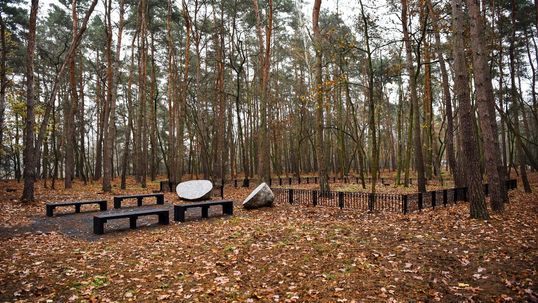 Galeria zdjęć przedstawia Las Pamięci na cmentarzu junikowskim.