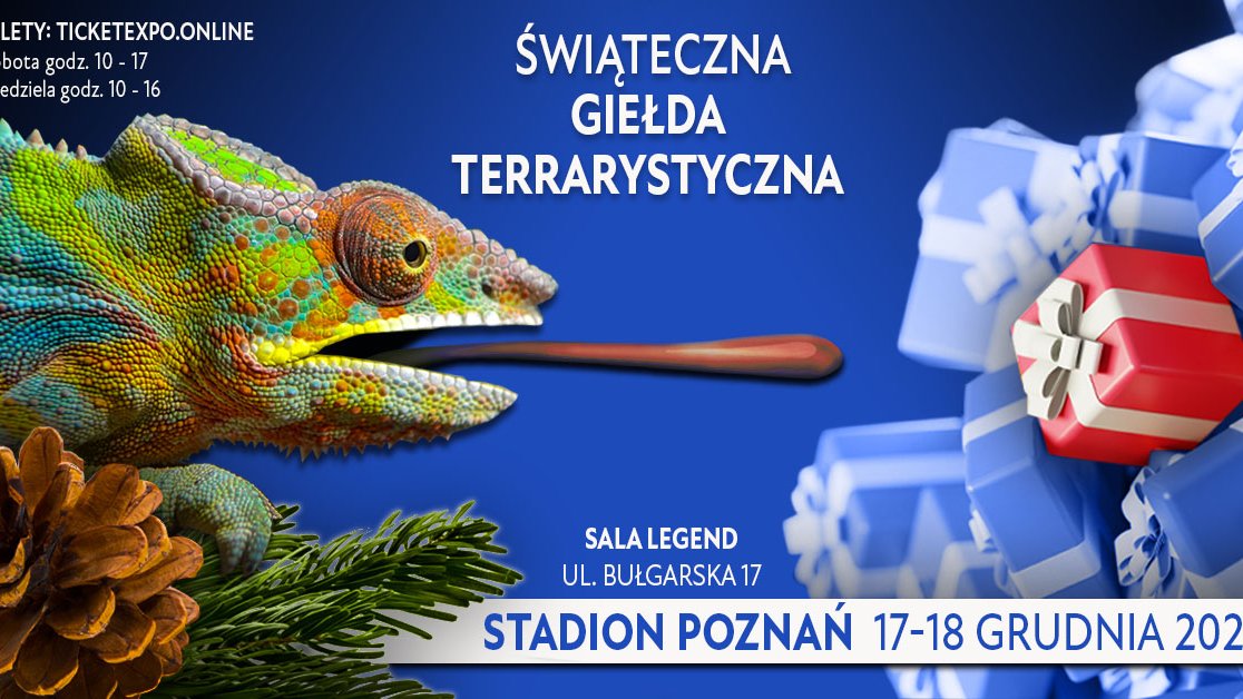 Kolorowy plakat z informacjami o wydarzeniu oraz elementami graficznymi, jeszczurką, świerkiem, szyszką oraz paczkami prezentowymi