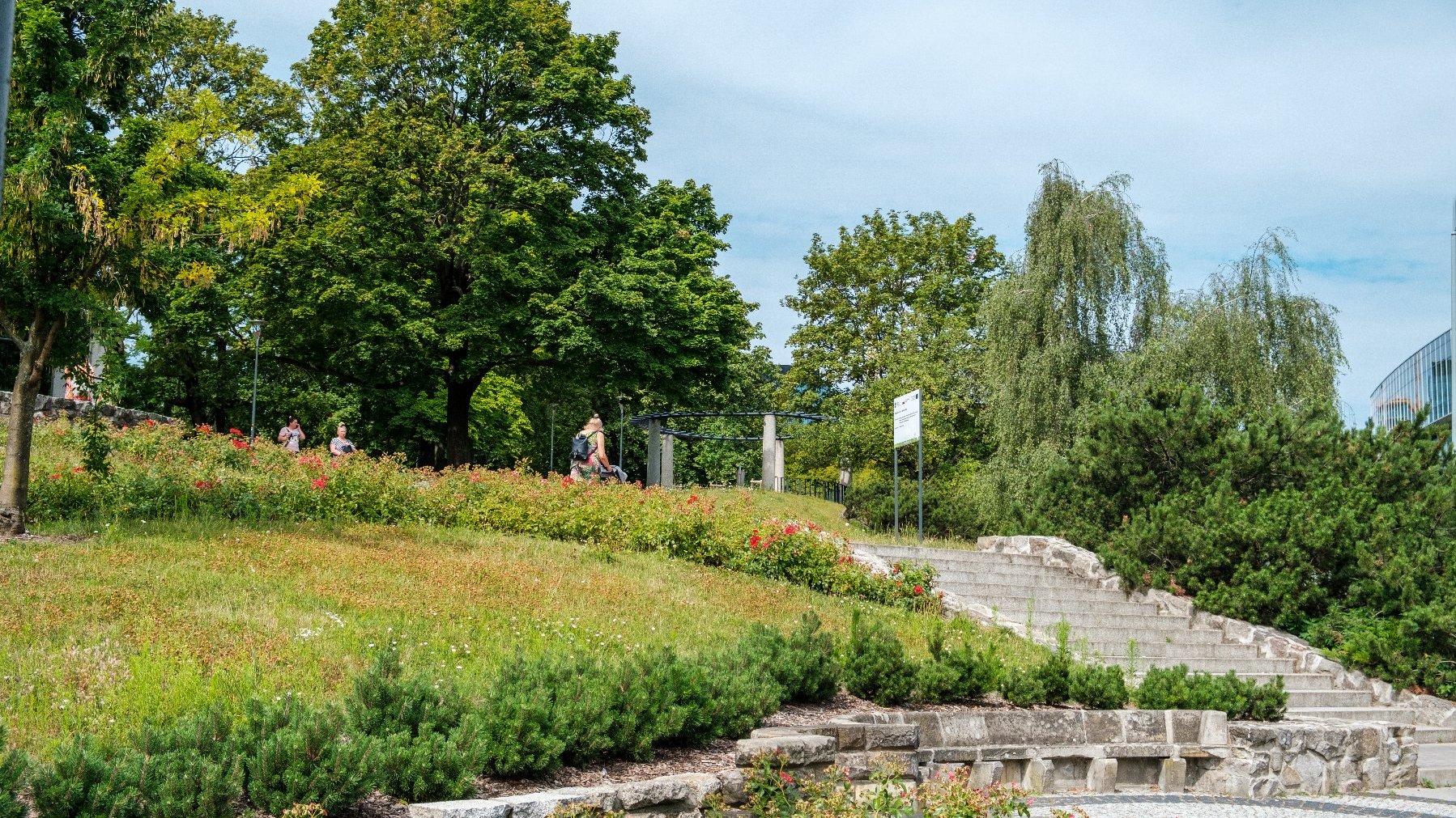 Galeria zdjęć przedstawia drzewa oraz roślinność w parkach