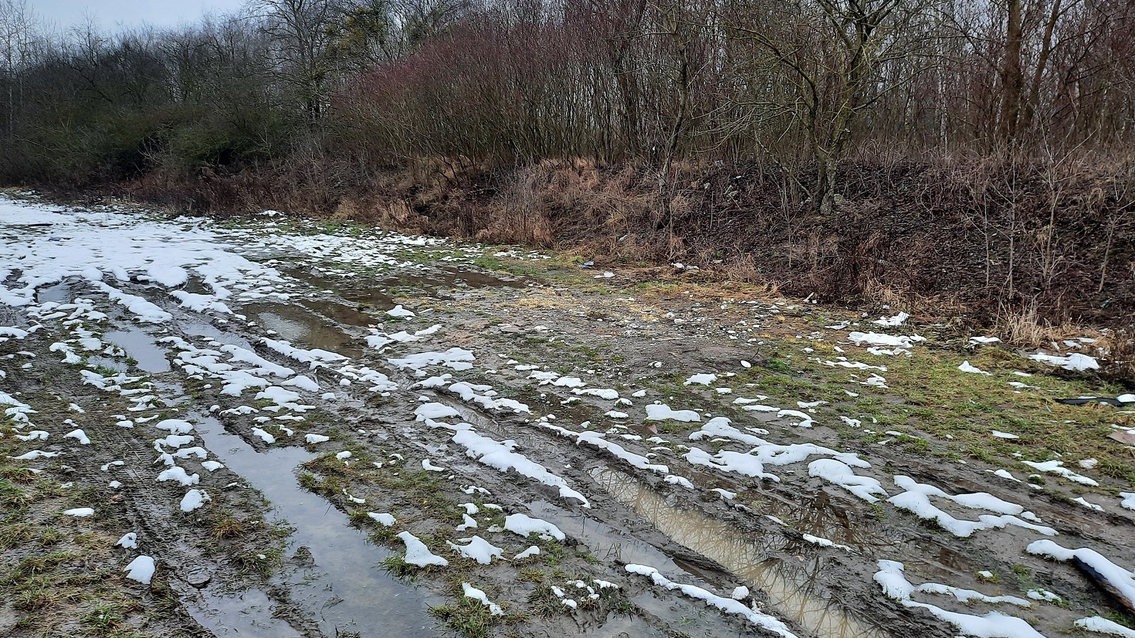 Na zdjęciu miejsce oczyszczone z odpadów, widać drzewa, trawę i śnieg