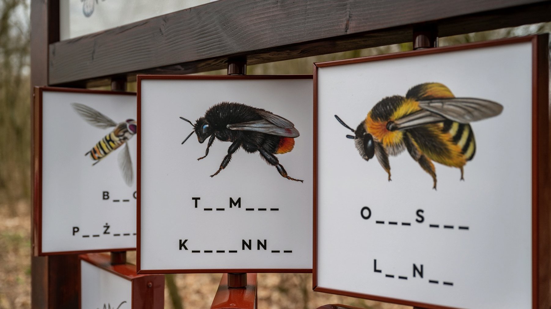 Galeria zdjęć przedstawia ścieżkę edukacyjną "4 pory roku w świecie zapylaczy".