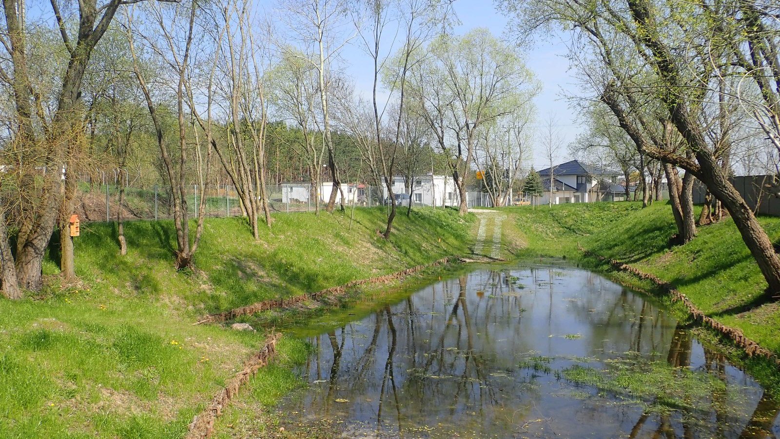 Galeria zdjęć przedstawia staw po remoncie, dookoła drzewa oraz trawa