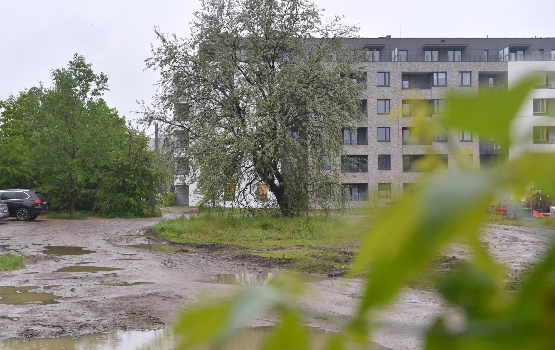 Na zdjęciu plac, na którym ma powstać park, w tle widać blok - grafika artykułu