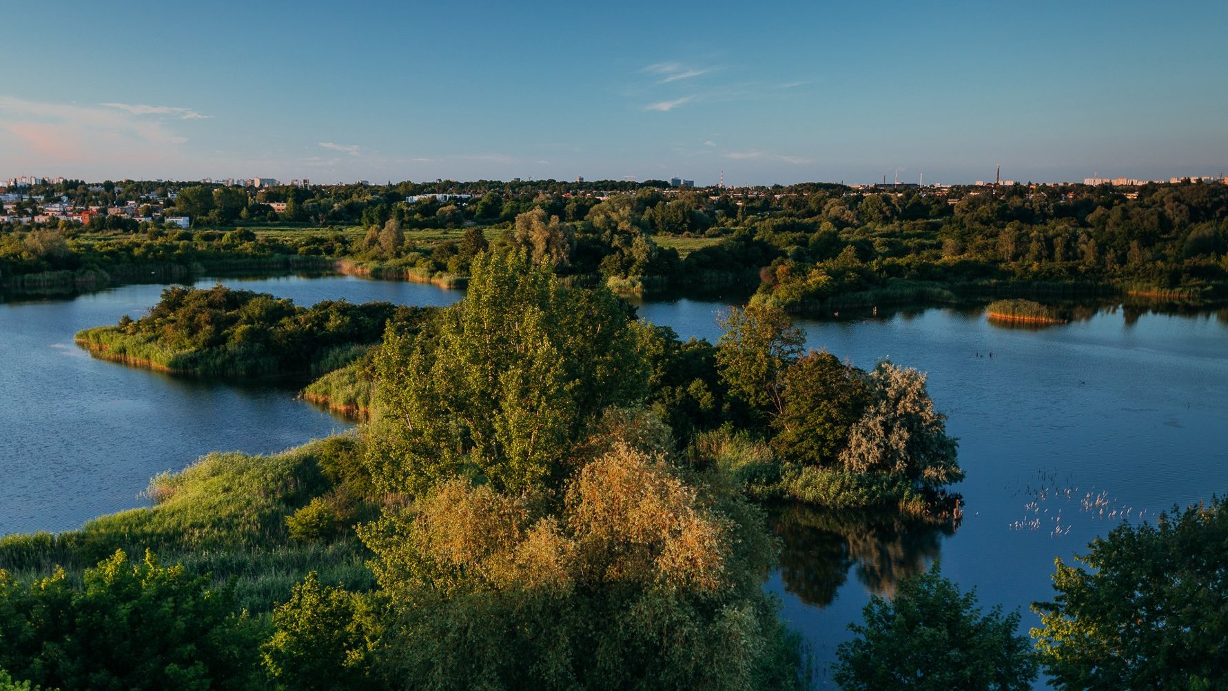 Galeria zdjęć z widokiem z wieży widokowej na tereny wód i zieleni oraz sama wieża