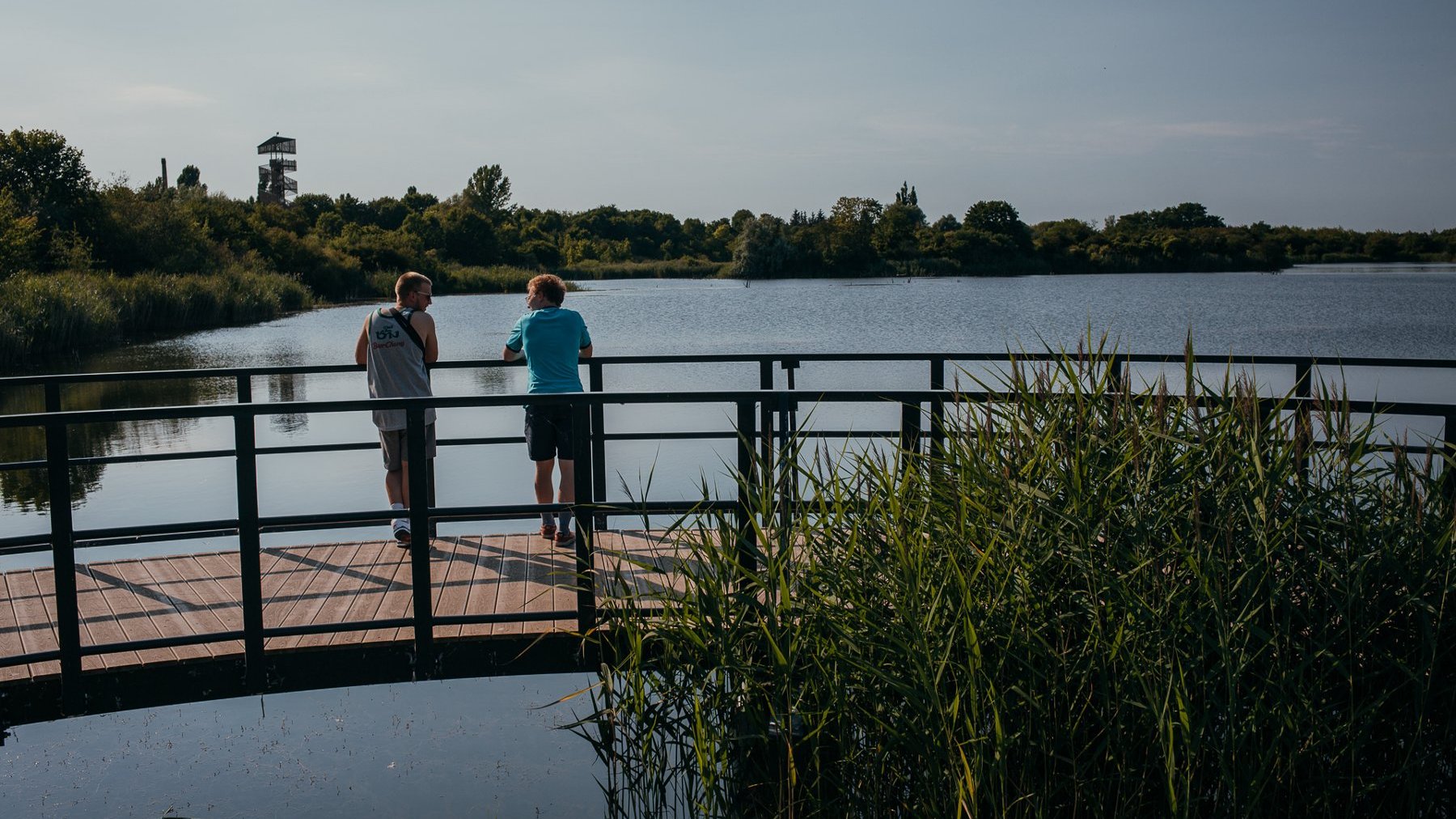 Galeria zdjęć z widokiem z wieży widokowej na tereny wód i zieleni oraz sama wieża