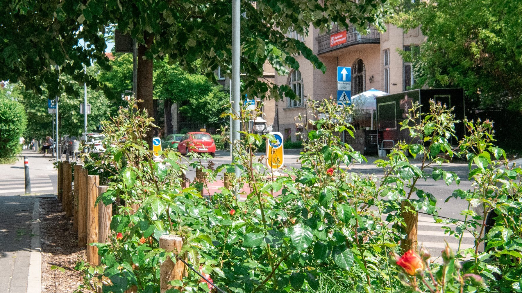 Galeria zdjęć z miejsc, gdzie zamiast "bruku" rośnie zieleń