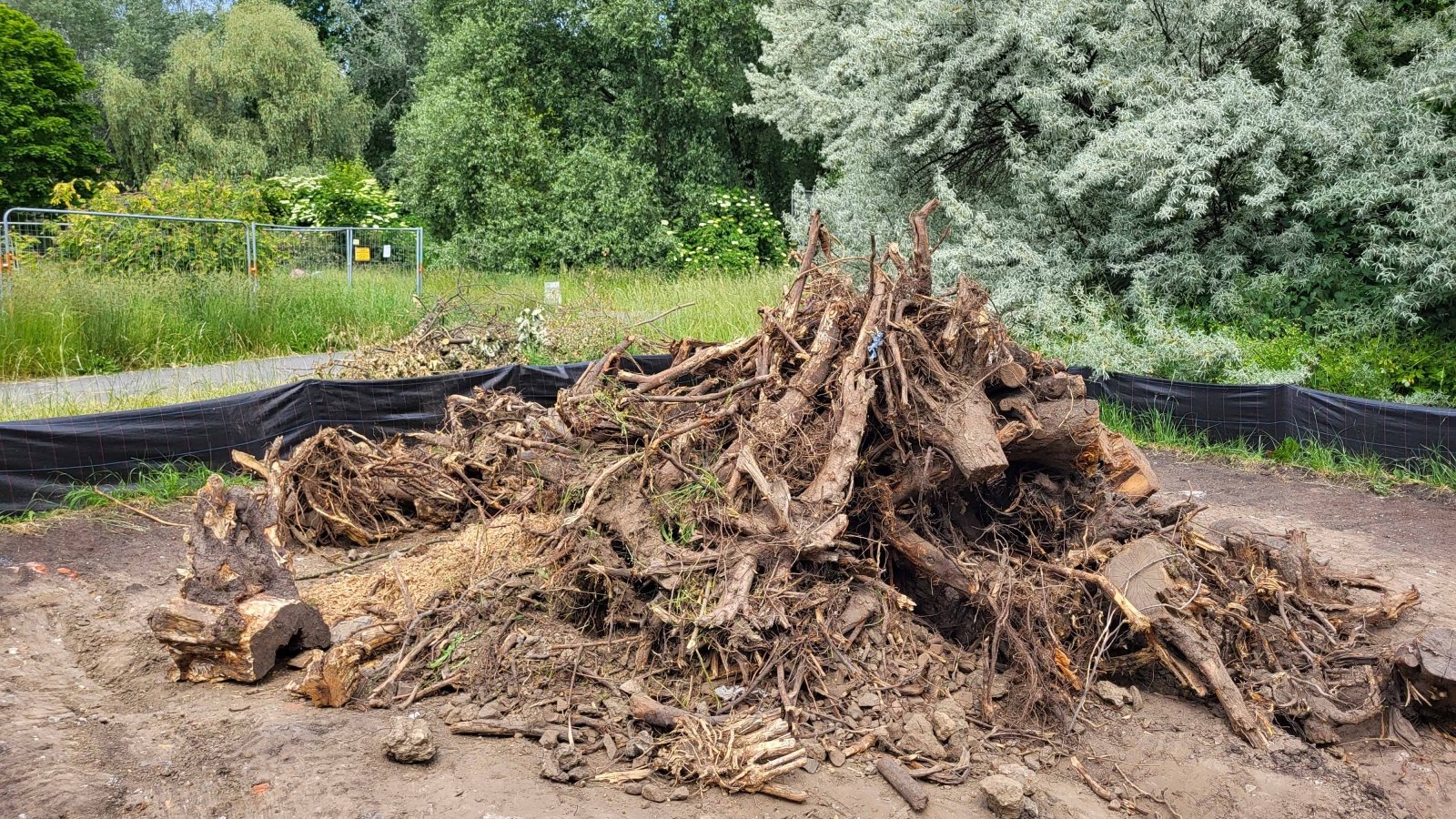 Galeria zdjęć z budowy nowych siedlisk dla traszek