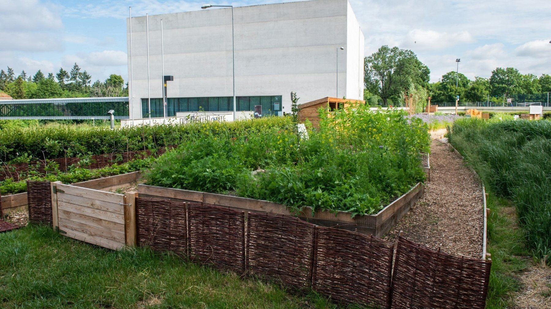 Galeria zdjęć ze ściezki edukacyjnej - są rośliny, rzeka oraz konstrukcje drewniane