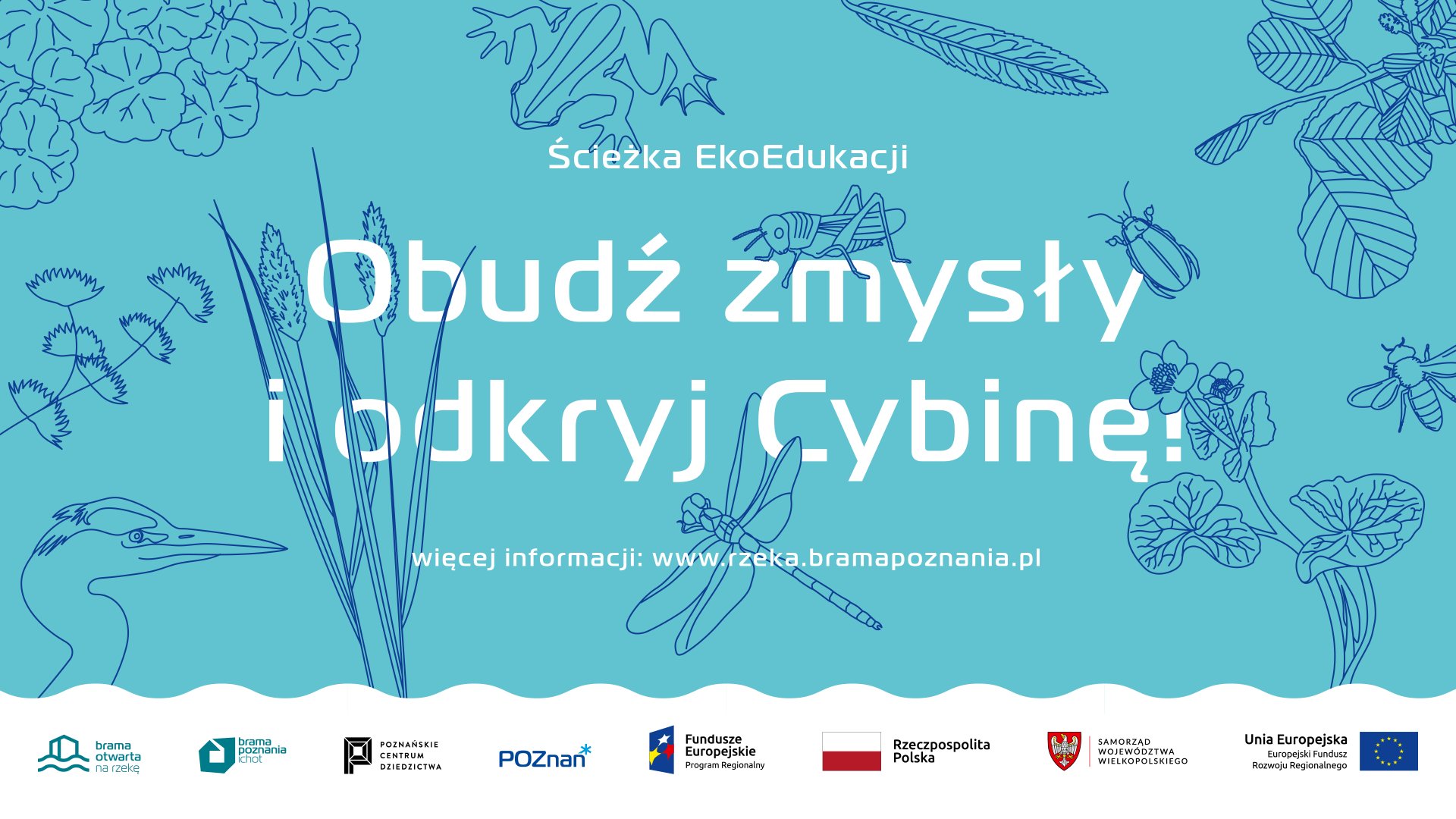 Turkusowy plakat z elementami graficznymi - owadami, płazami, roślinami i napisami