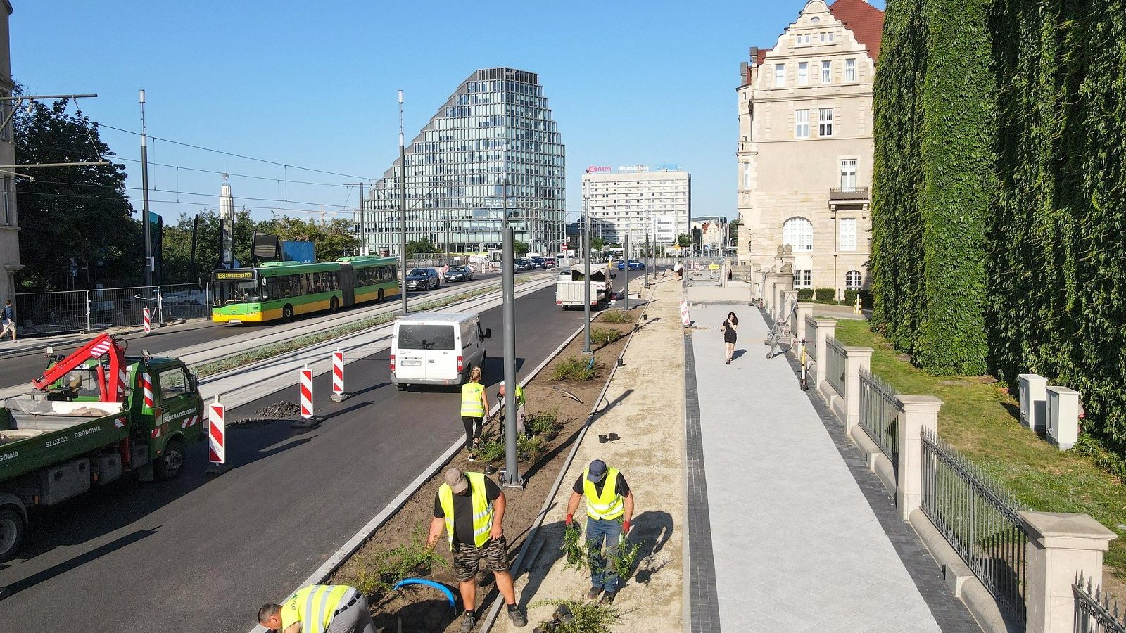 Galeria zdjęć z nowo posadzonych roślin przy ul. Św. Marcin