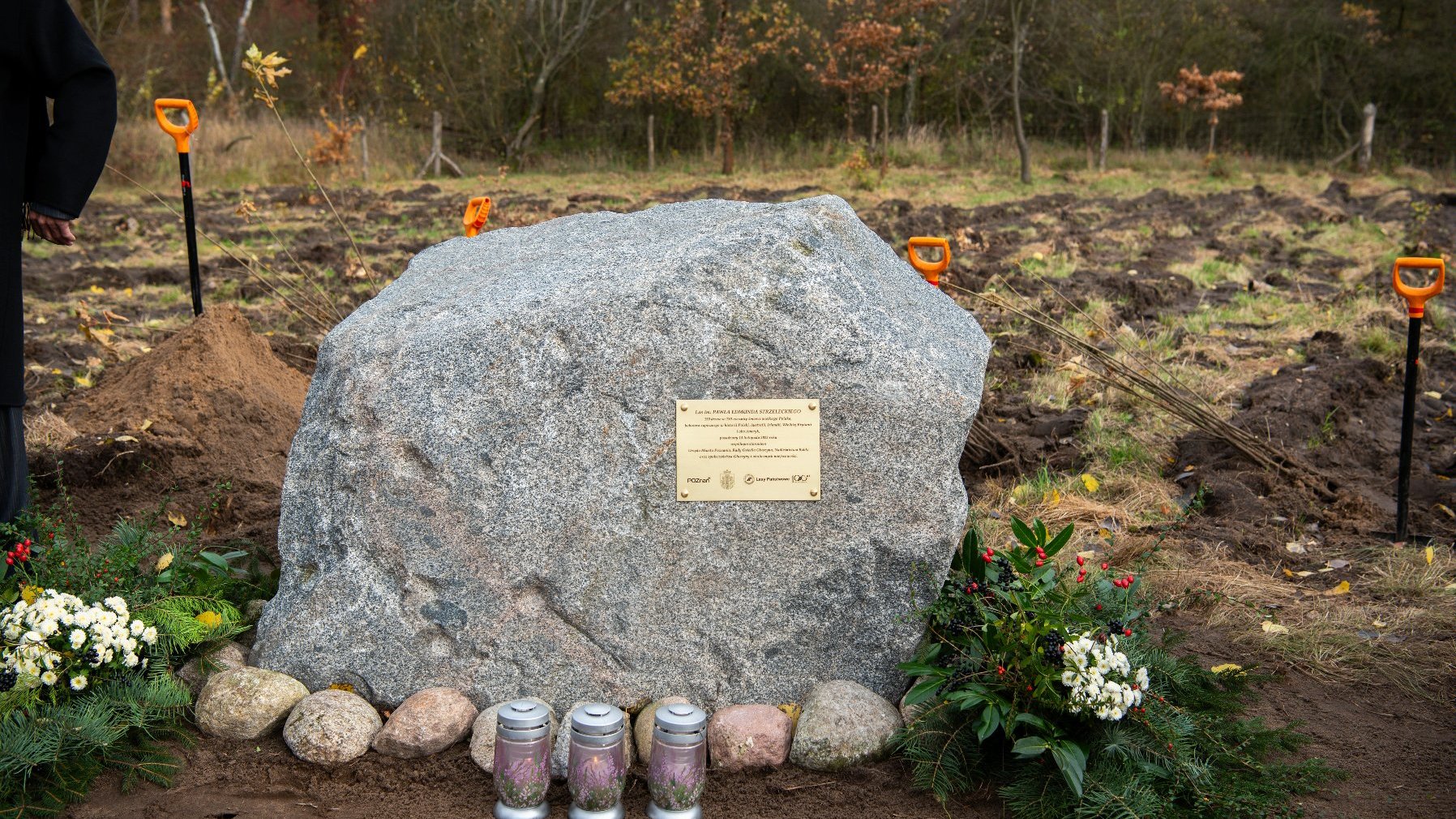 Galeria zdjęć z sadzenia drzew i obchodów z okazji roku Strzeleckiego